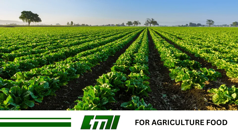 الجير للأغذية الزراعية